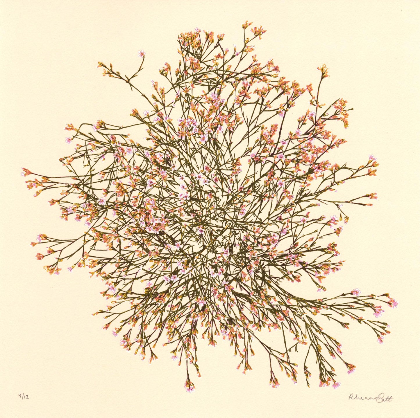 Botanical Constellations - Limited Edition Screenprint