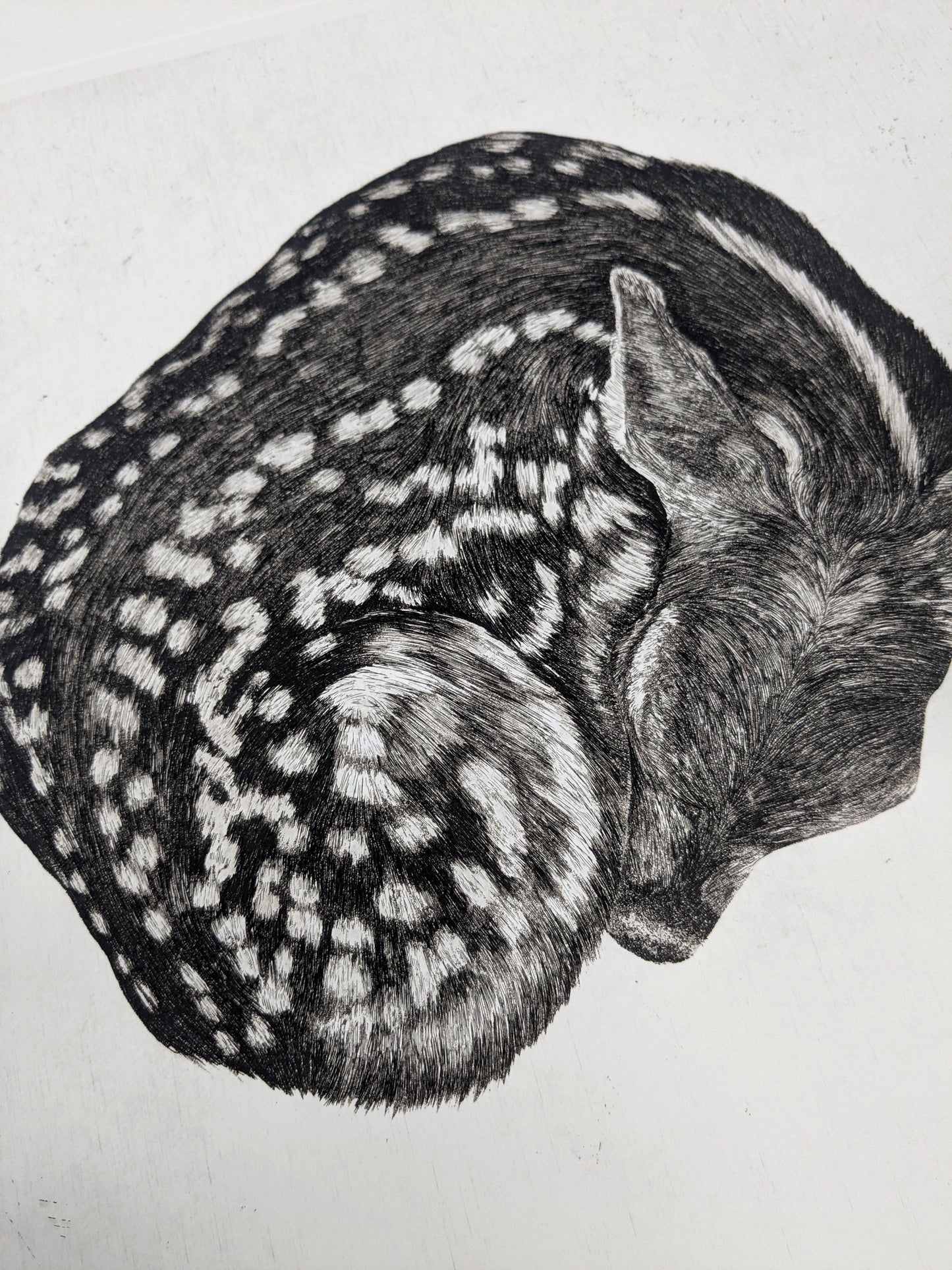 Fragile - Limited Edition Etching