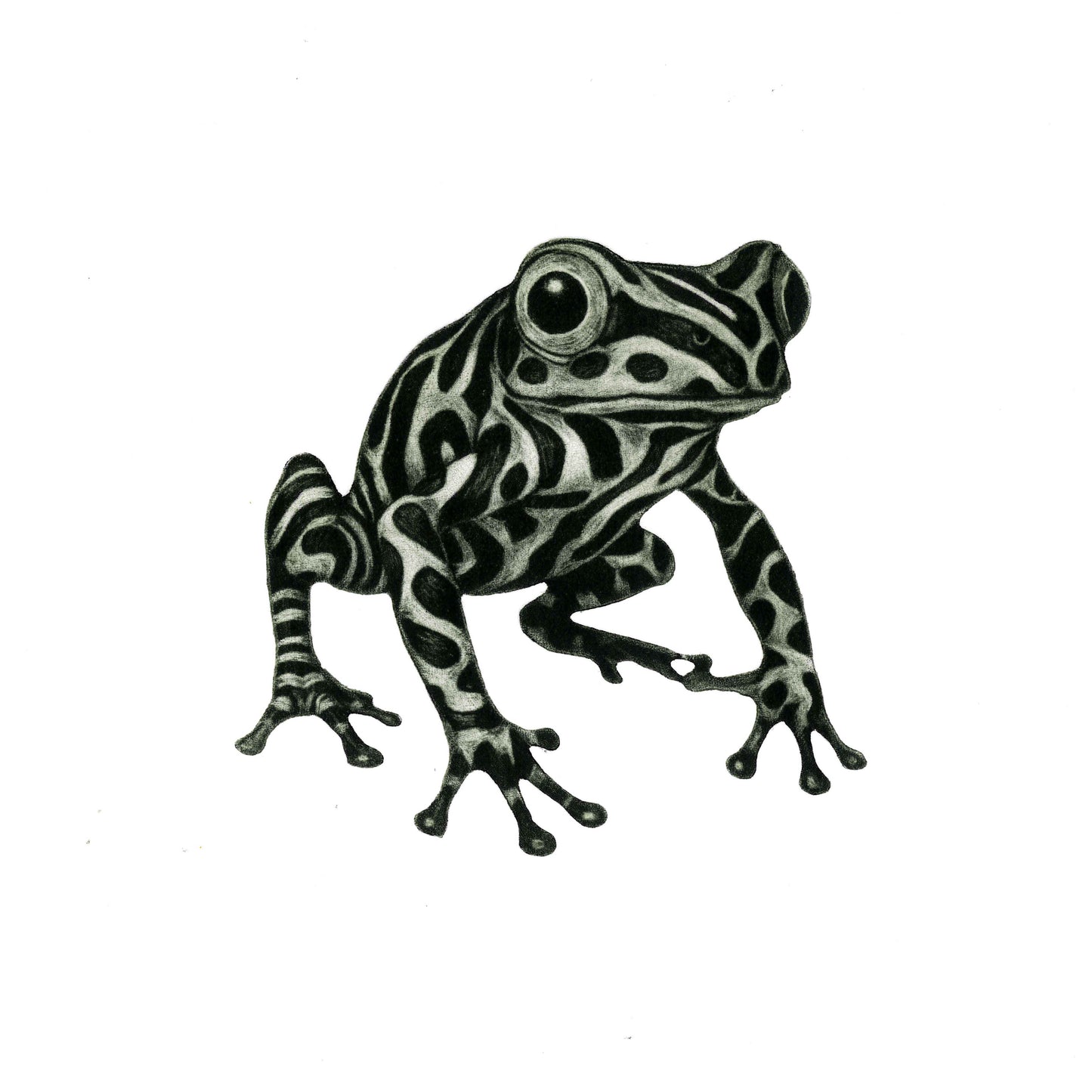 Hide and Seek - Limited Edition Mezzotint