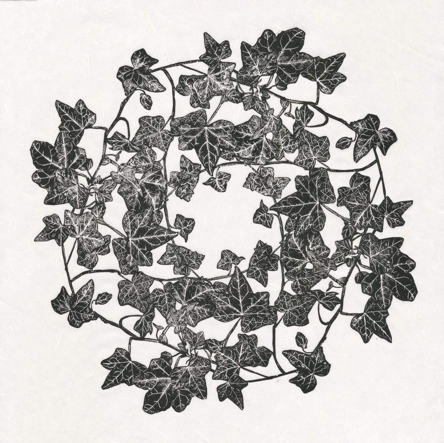 Ivy - Limited Edition Linocut