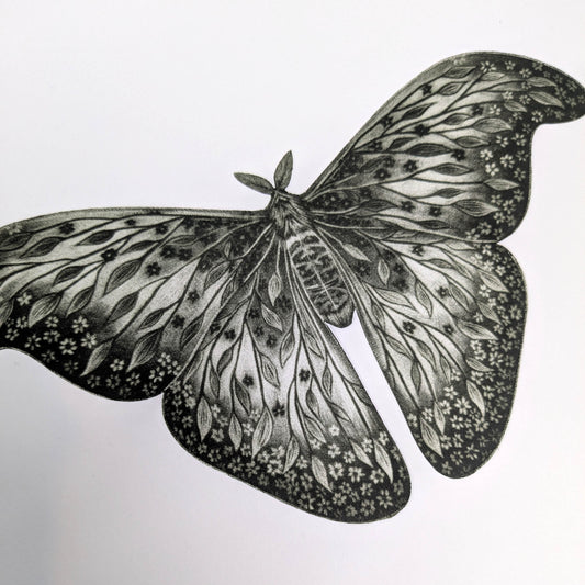 Luminous Decay - Original Mezzotint and Debossing