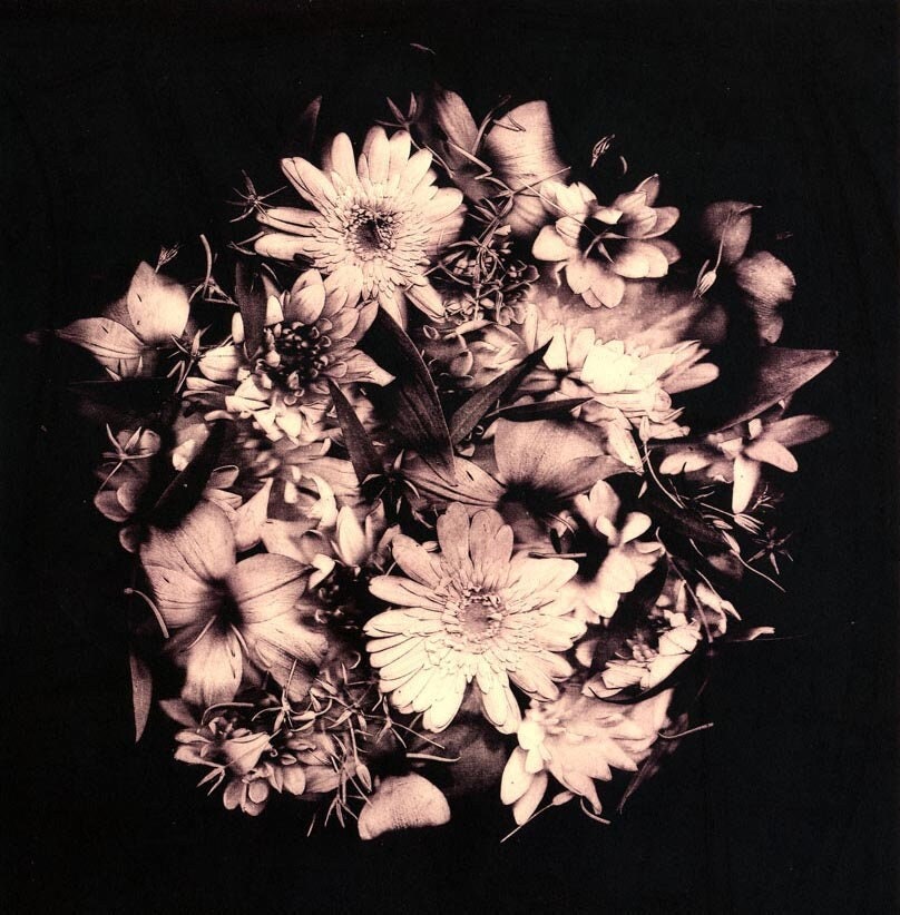Bloom – Limited Edition Photopolymer Etching