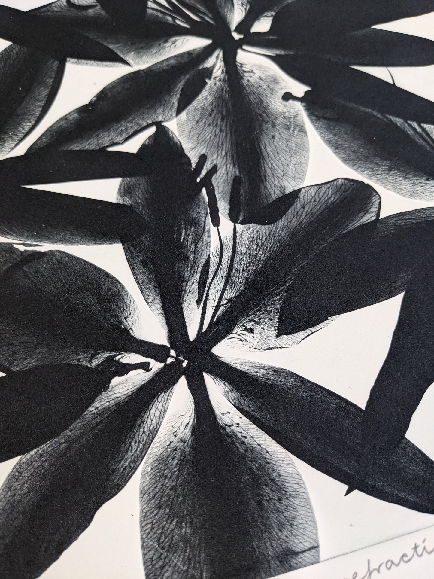 Refraction - Limited Edition Photopolymer Etching