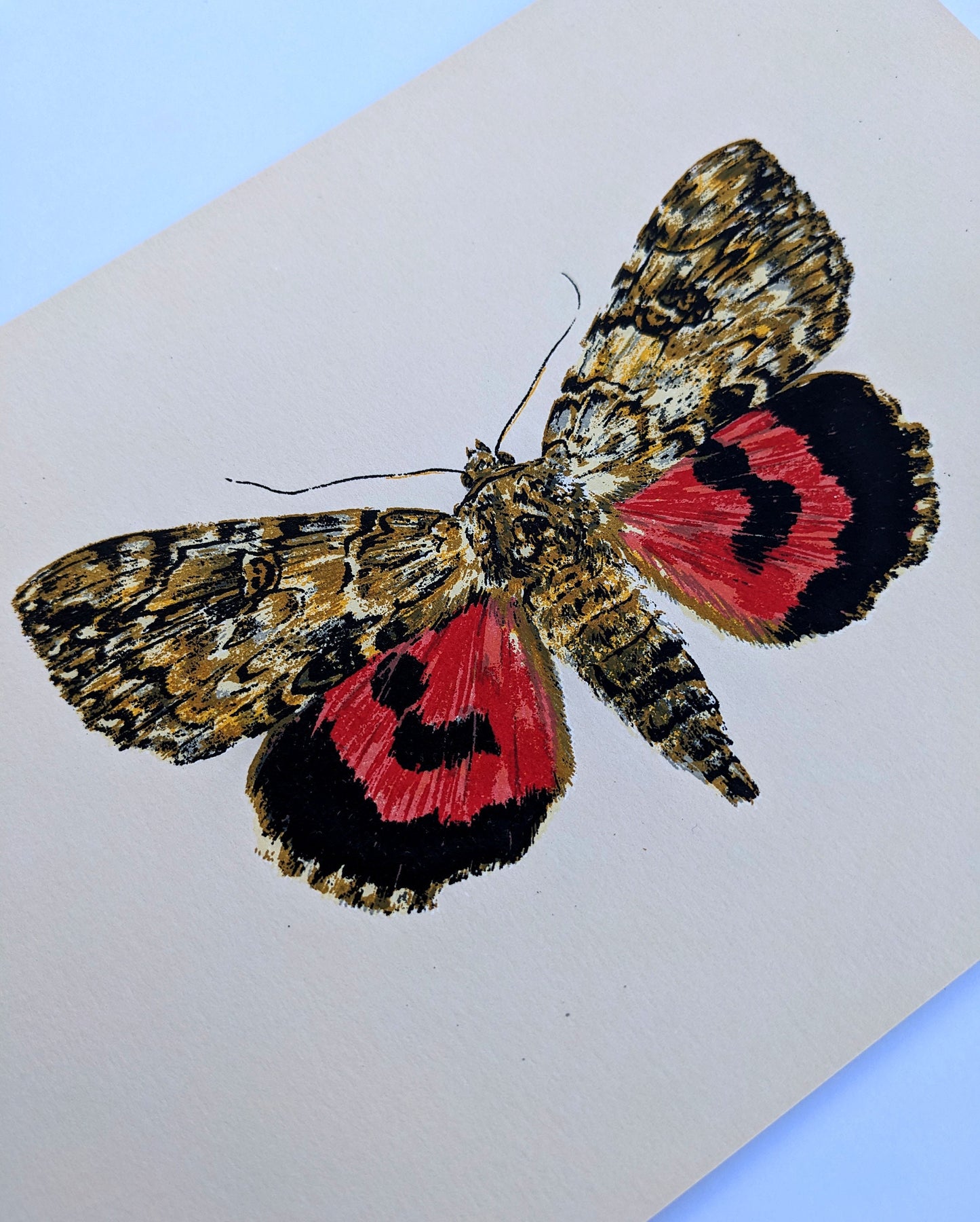 Red Underwing - Limited Edition Screenprint