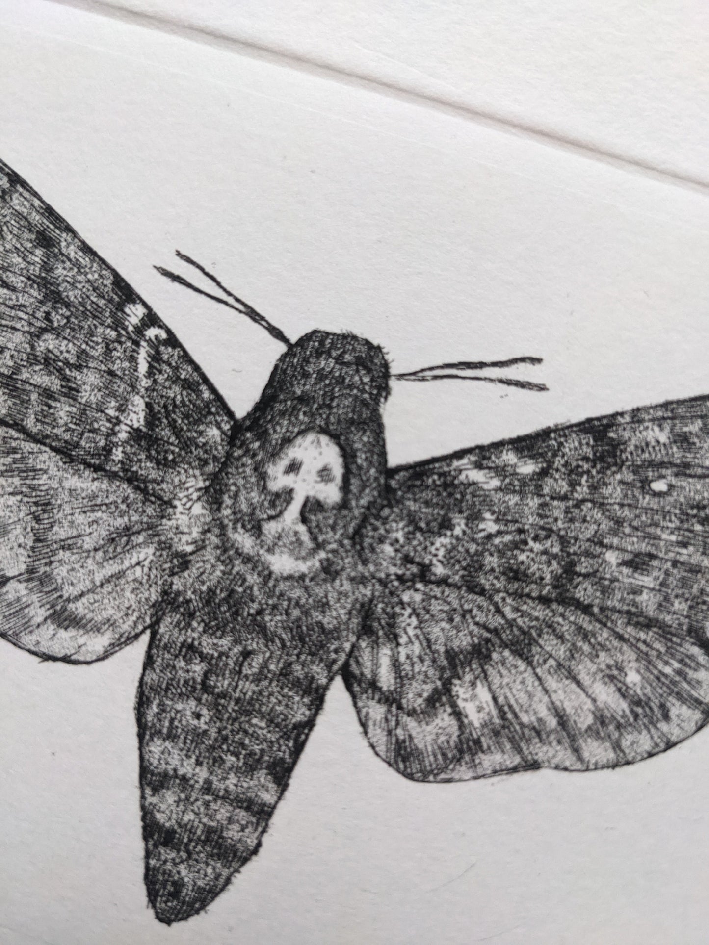 Omen - Limited Edition Etching