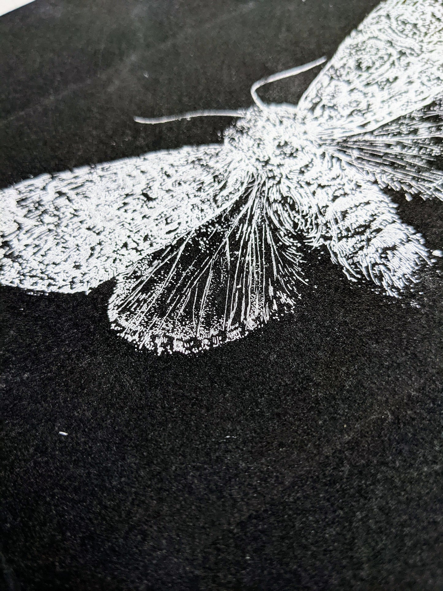 Illumination - Limited Edition Etching