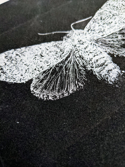 Illumination - Limited Edition Etching