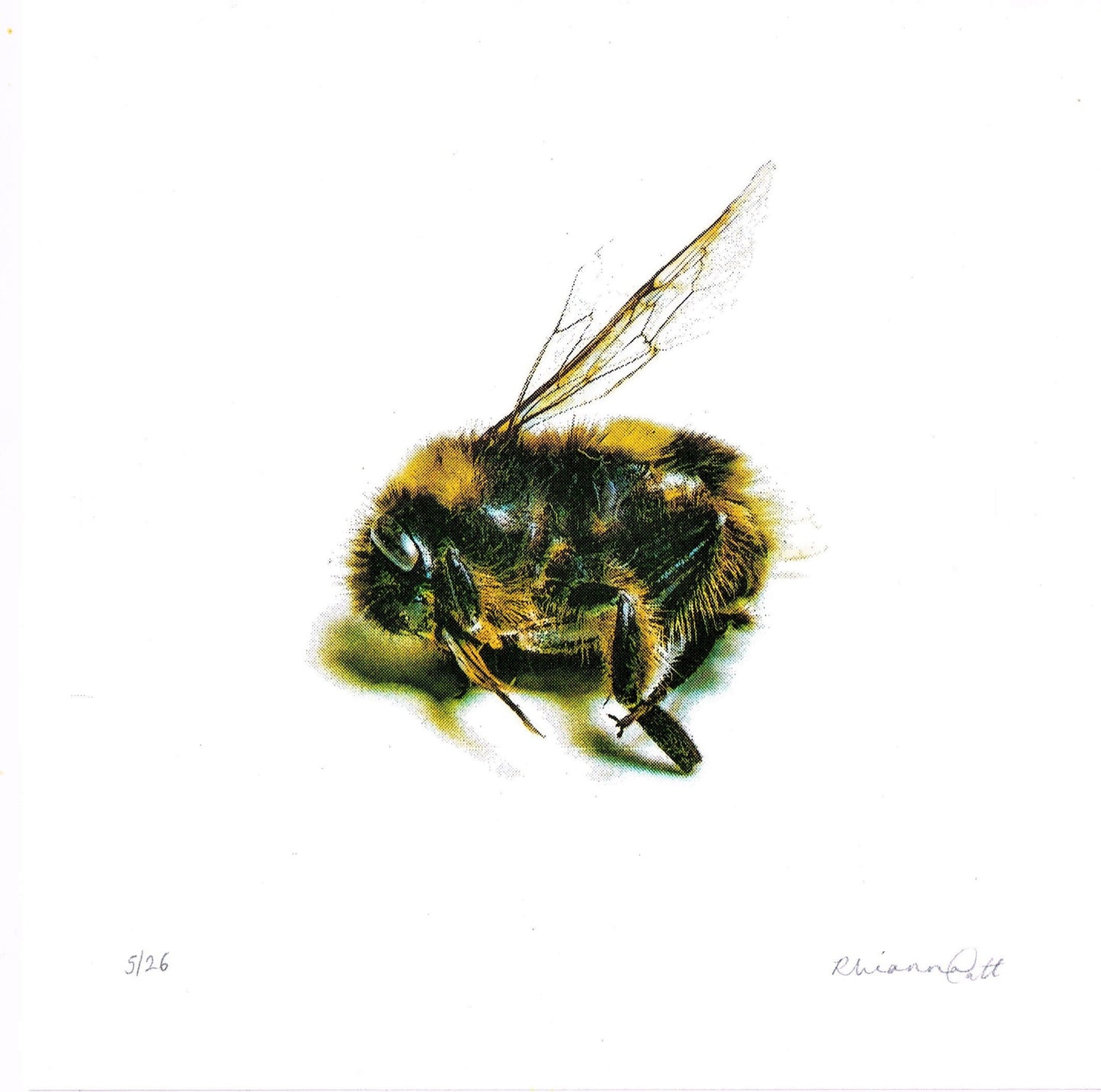 To Take Rest - Limited Edition Risograph