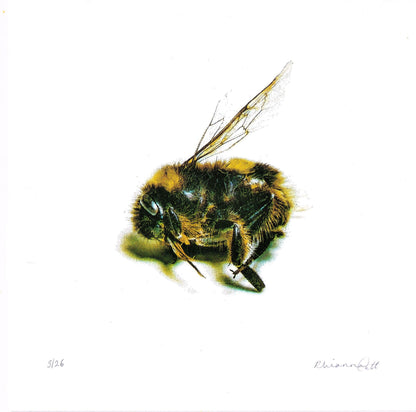 To Take Rest - Limited Edition Risograph