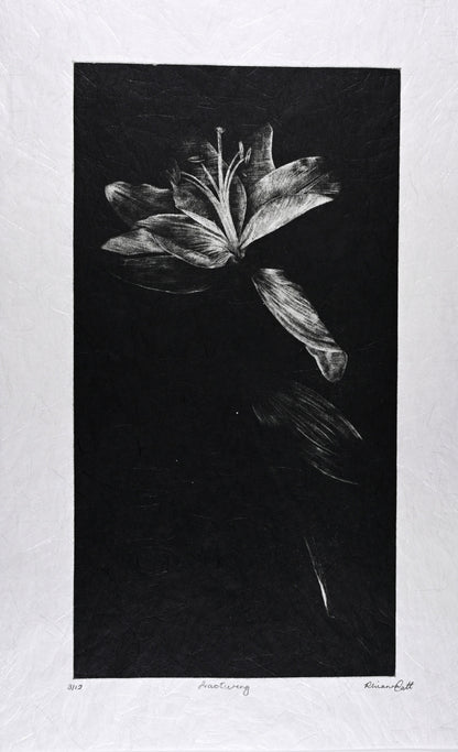 Fracturing – Limited Edition Mezzotint