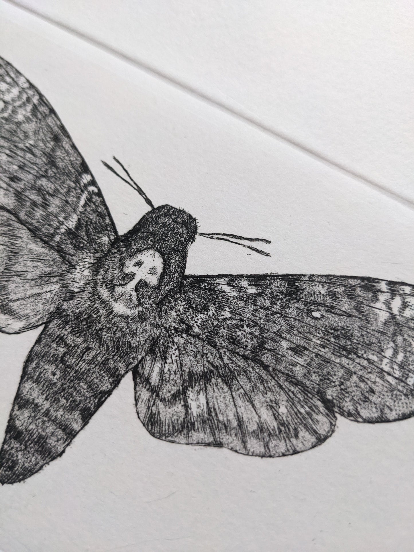 Omen - Limited Edition Etching