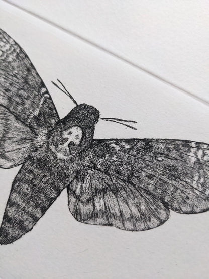 Omen - Limited Edition Etching