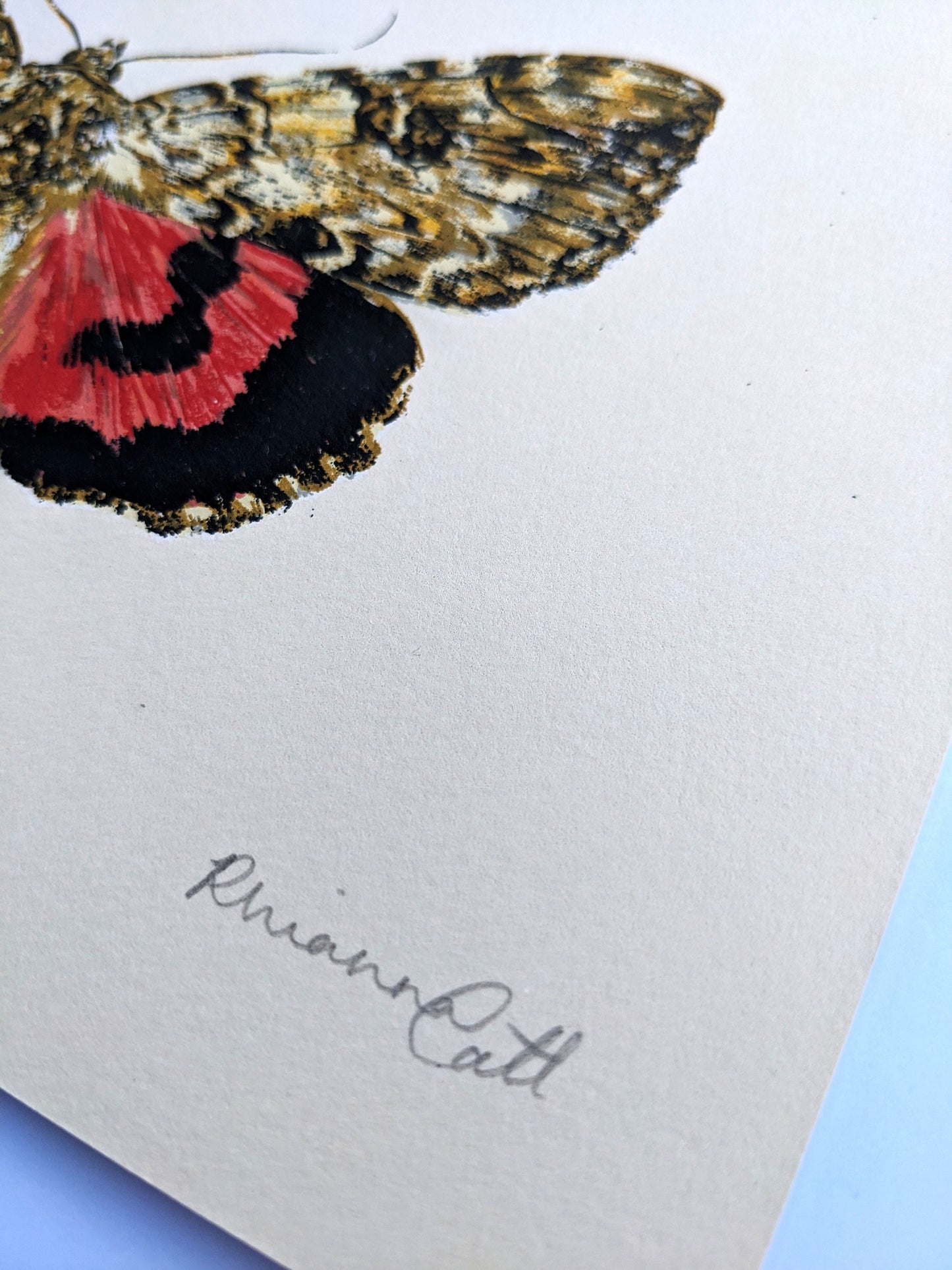 Red Underwing - Limited Edition Screenprint