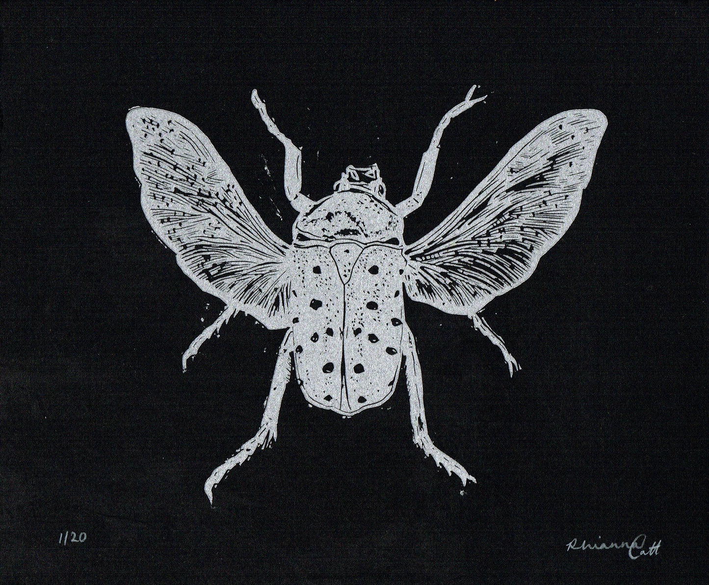 Silver Scarab - Limited Edition Linocut Print