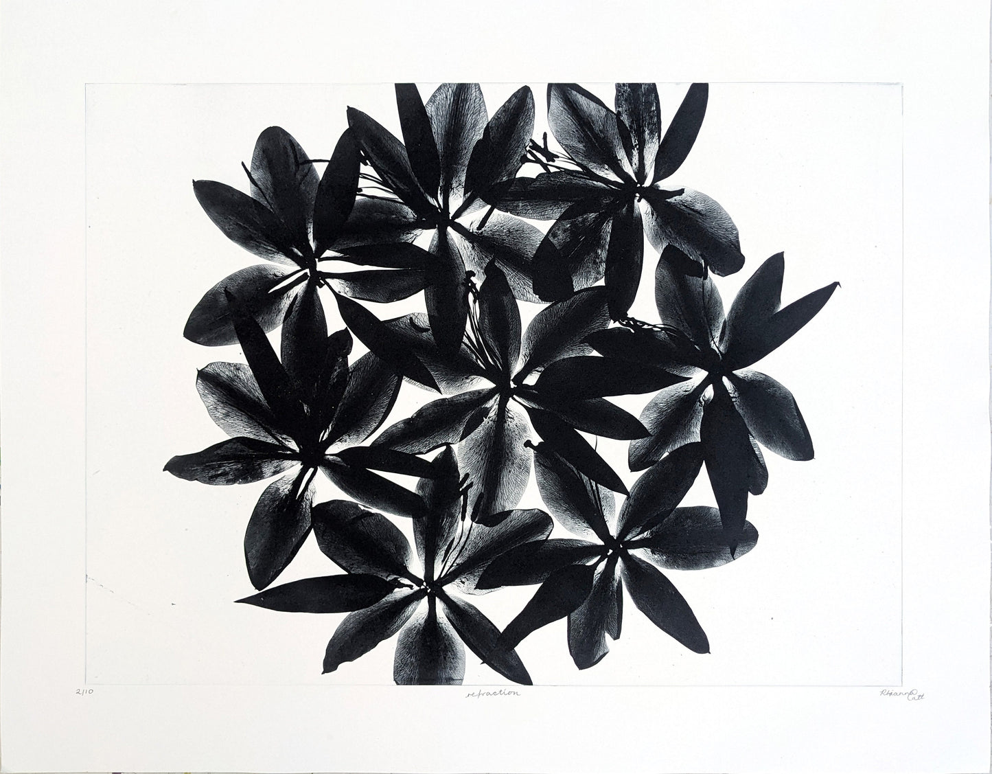 Refraction - Limited Edition Photopolymer Etching