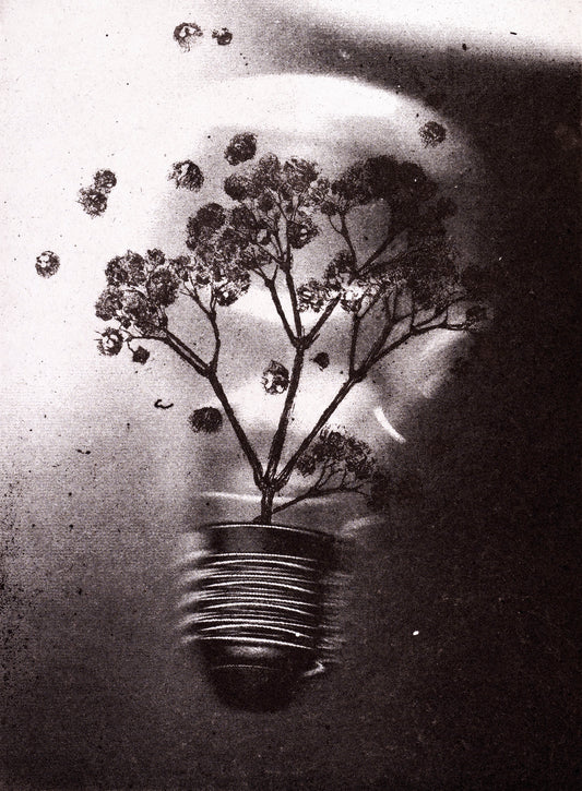 Bioluminscence no.1 - Limited Edition Etching