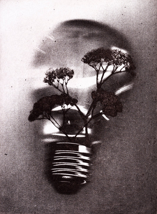 Bioluminscence no.3 - Limited Edition Etching