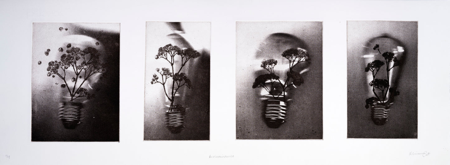 Bioluminescence - Limited Edition Etching