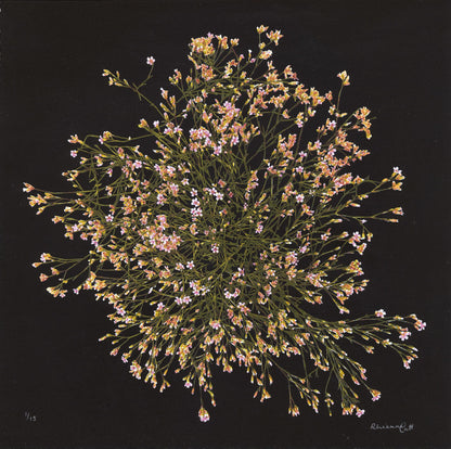 Botanical Constellations - Limited Edition Screenprint