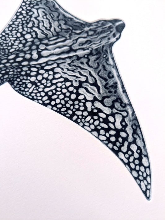 Come and Go - Limited Edition Mezzotint & Debossing