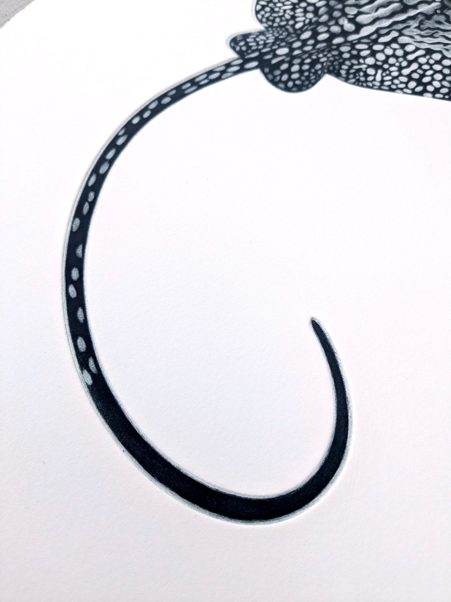 Come and Go - Limited Edition Mezzotint & Debossing