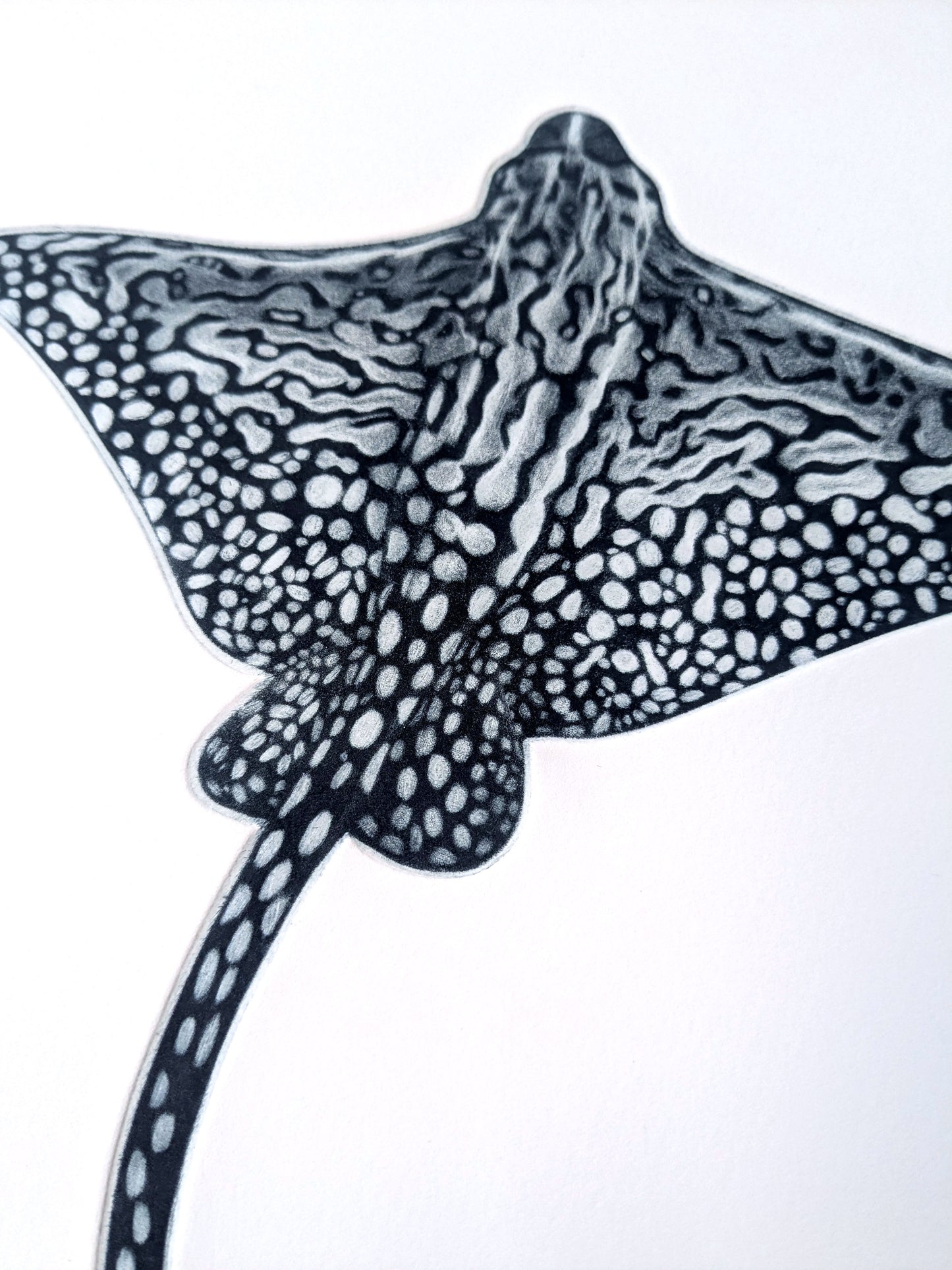 Come and Go - Limited Edition Mezzotint & Debossing