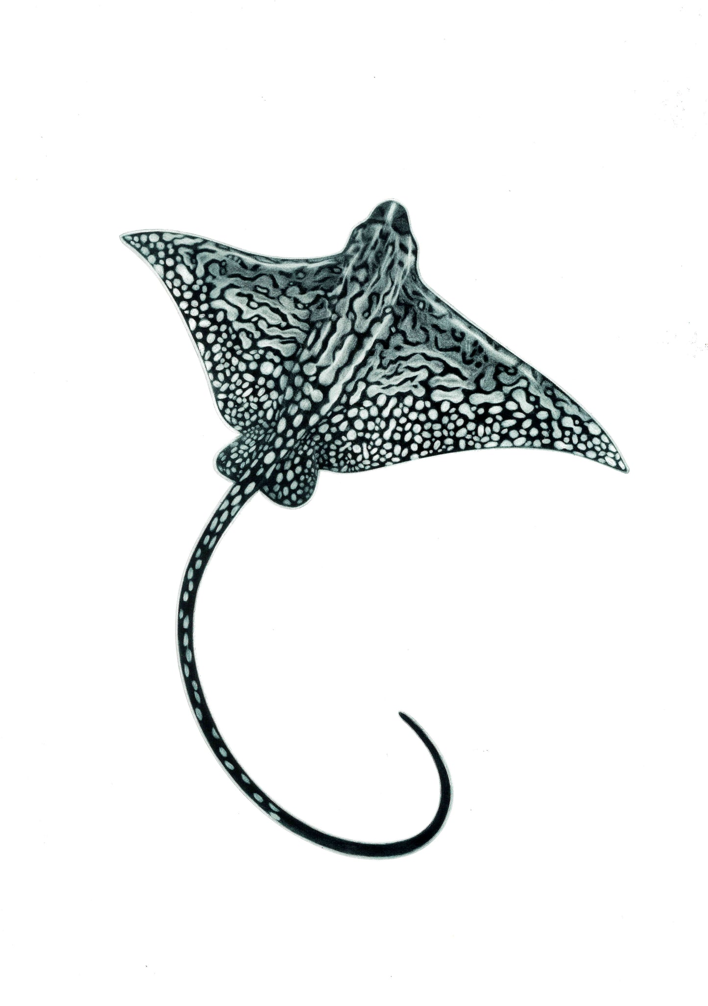 Come and Go - Limited Edition Mezzotint & Debossing
