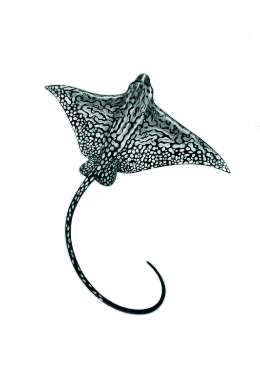 Come and Go - Limited Edition Mezzotint & Debossing