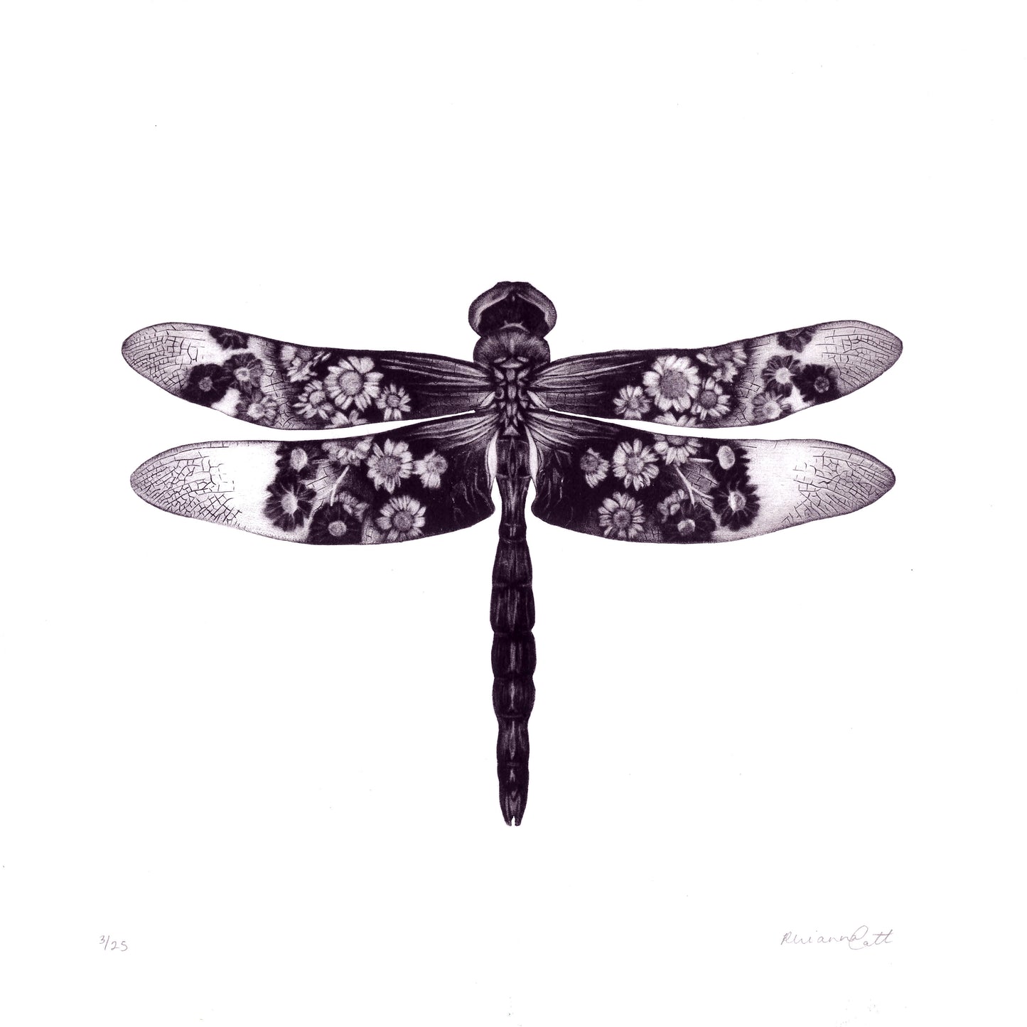 Living Veil - Original Mezzotint, Engraving and Debossing