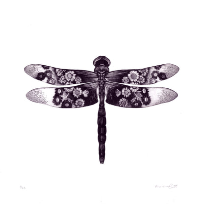 Living Veil - Original Mezzotint, Engraving and Debossing