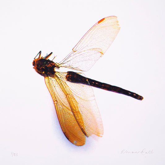 Poise - Limited Edition Screenprint