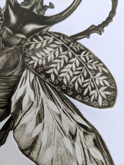 Forest Herald - Original Mezzotint and Debossing