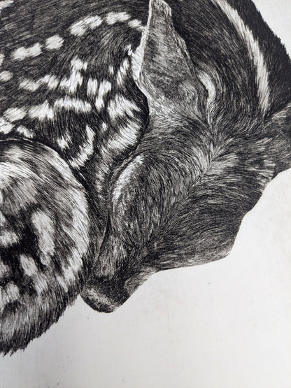 Fragile - Limited Edition Etching