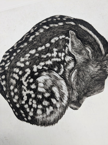 Fragile - Limited Edition Etching