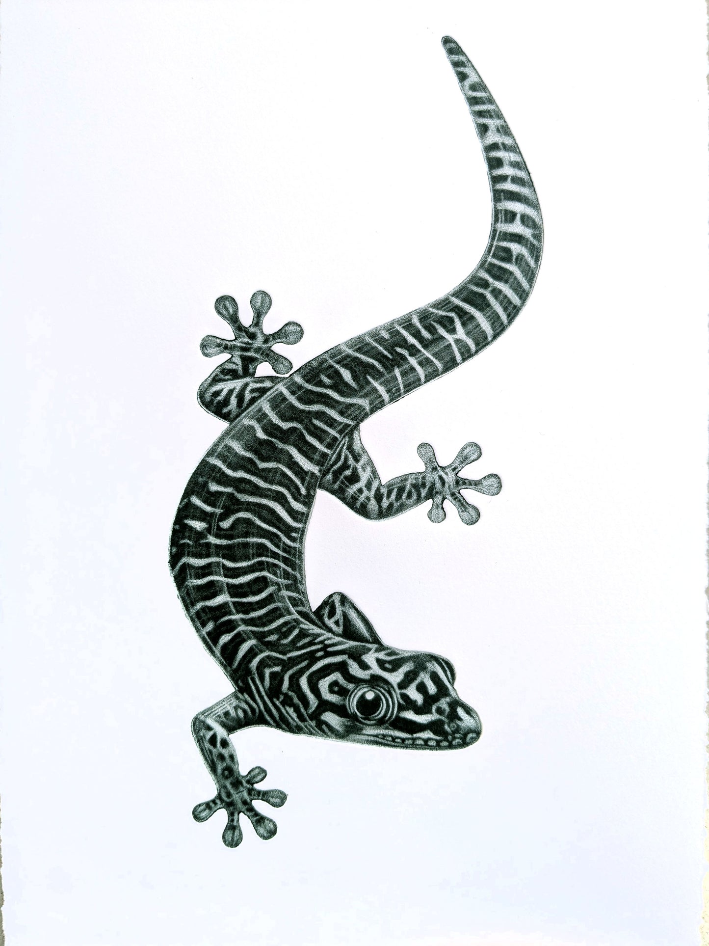 PREORDER - Here and There - Limited Edition Mezzotint & Debossing
