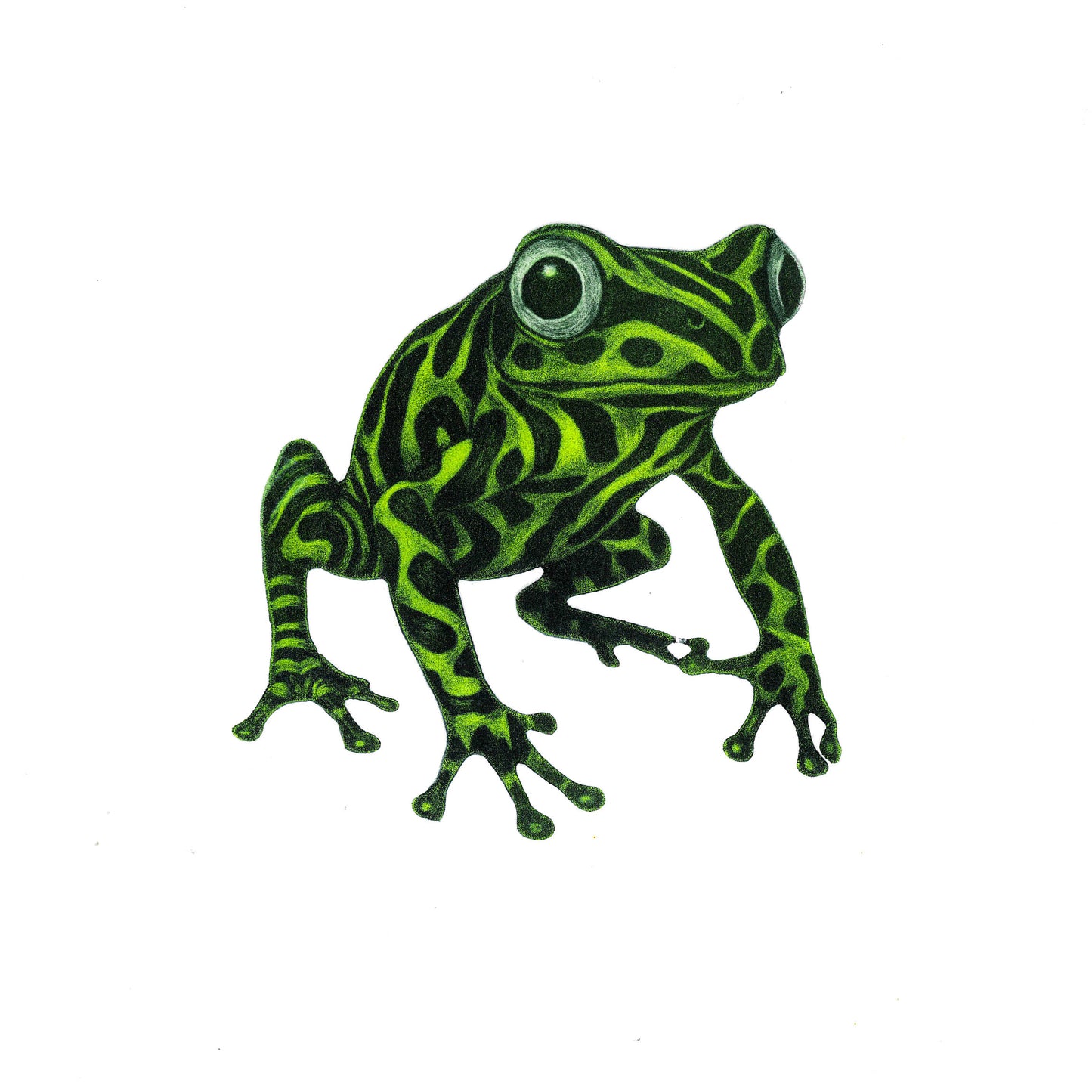 Hide and Seek - Limited Edition Mezzotint