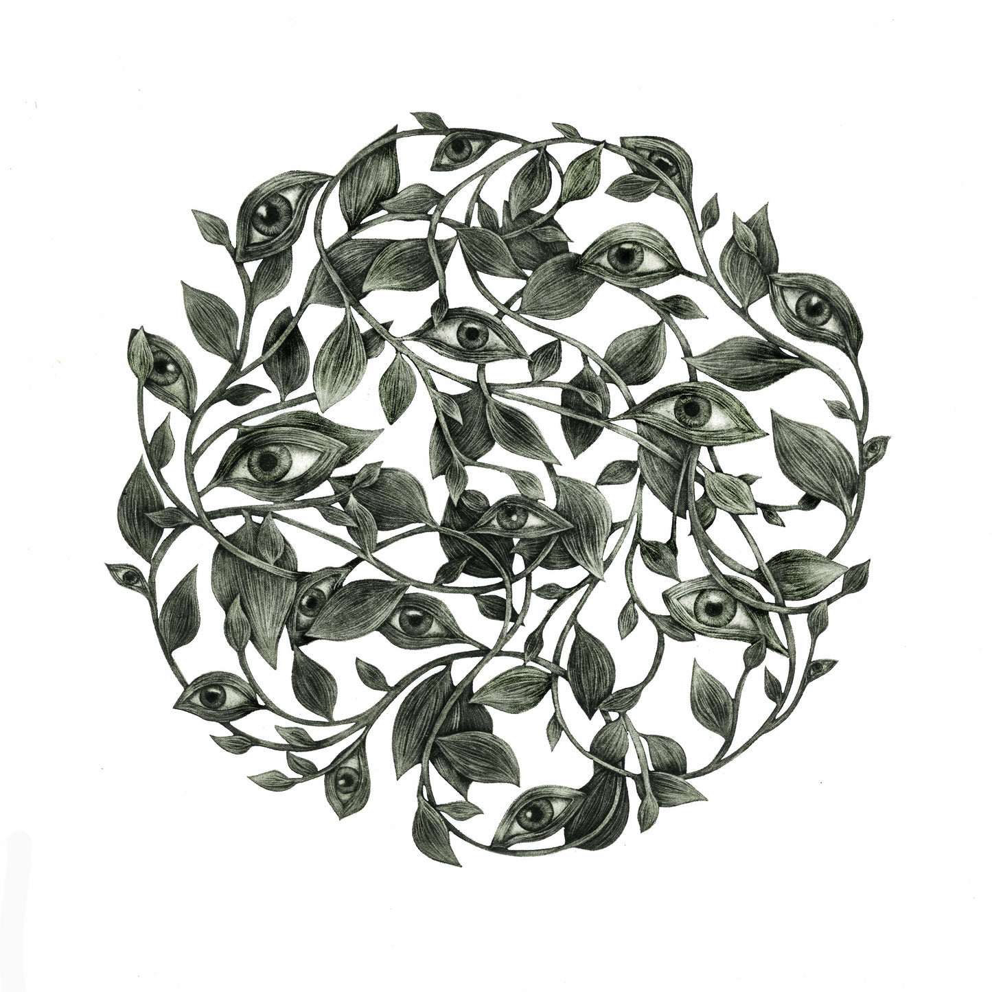 What the Leaves Remember - Limited Edition Mezzotint and Embossing