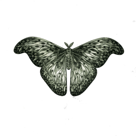 Luminous Decay - Original Mezzotint and Debossing