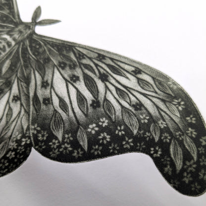 Luminous Decay - Original Mezzotint and Debossing