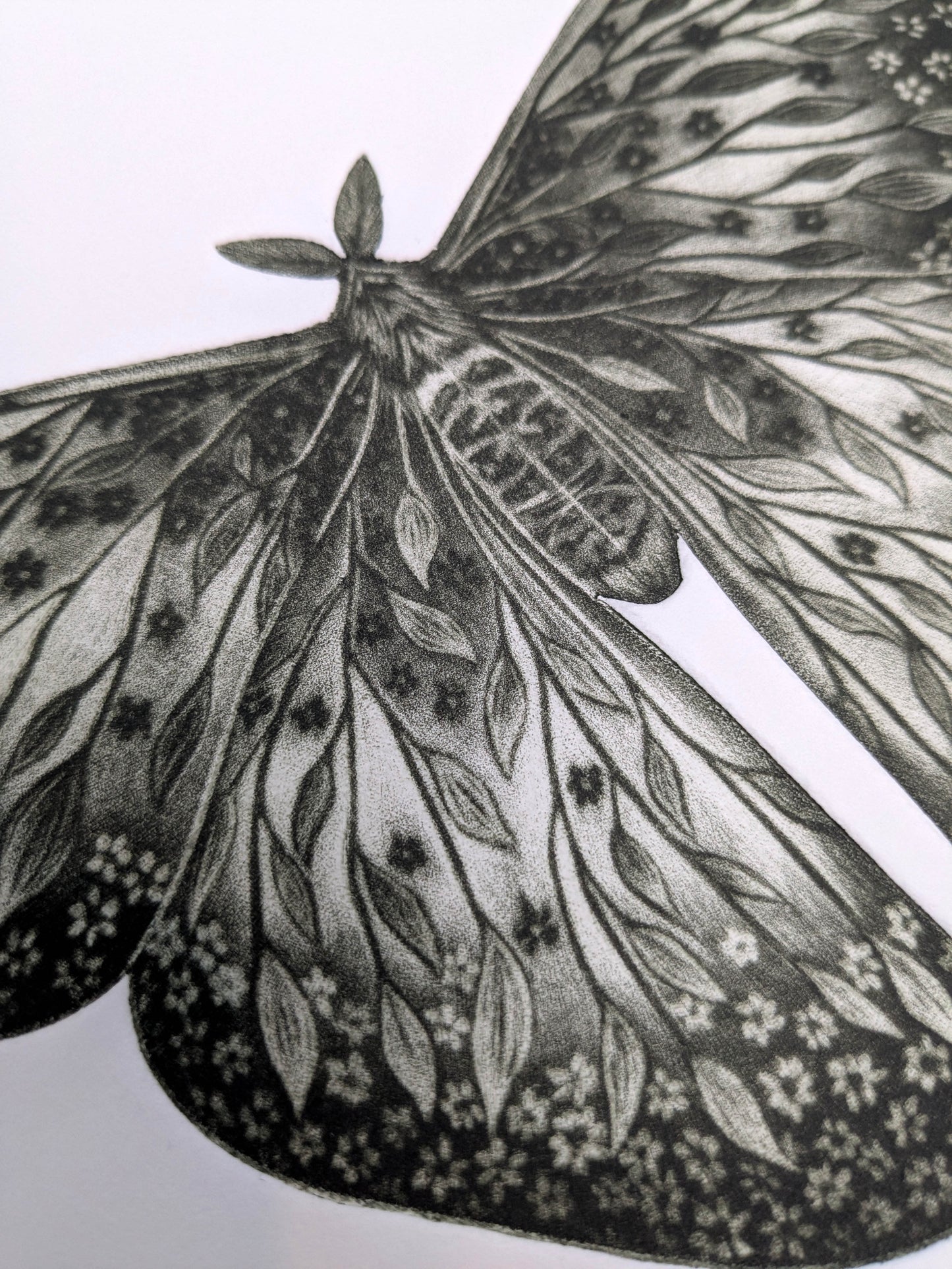 Luminous Decay - Original Mezzotint and Debossing