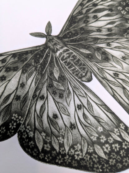 Luminous Decay - Original Mezzotint and Debossing