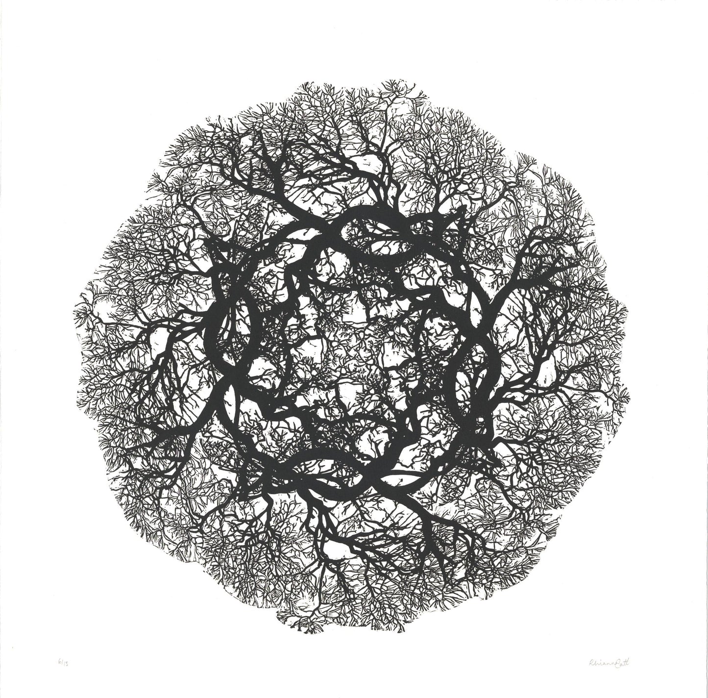 Nature of Nerves – Limited Edition Linocut