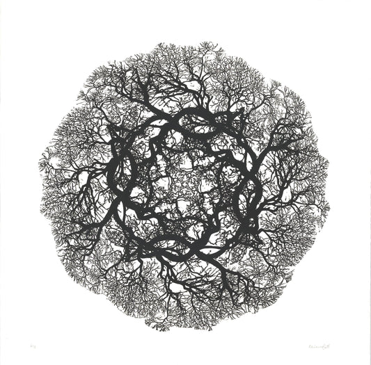 Nature of Nerves – Limited Edition Linocut