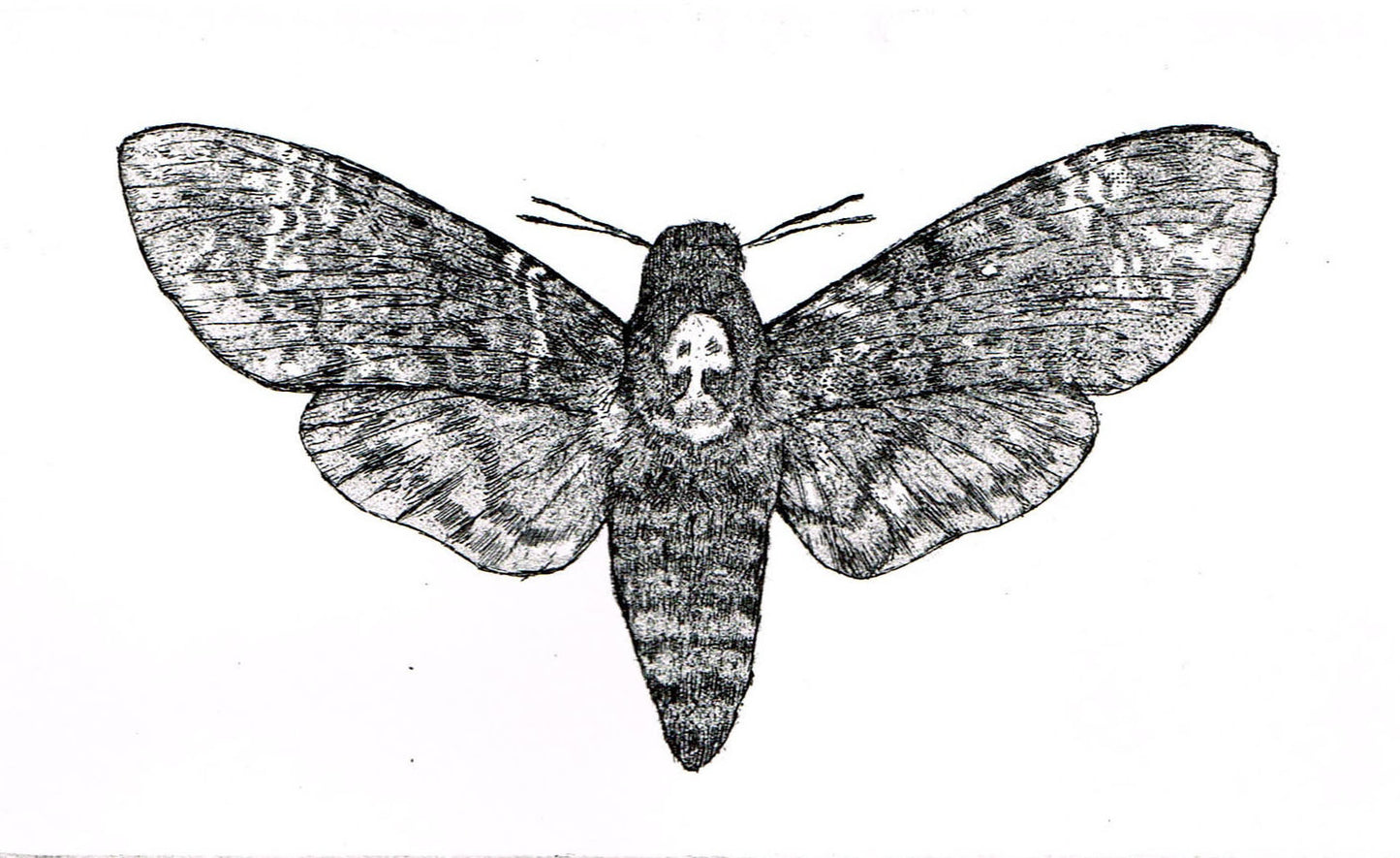 Omen - Limited Edition Etching