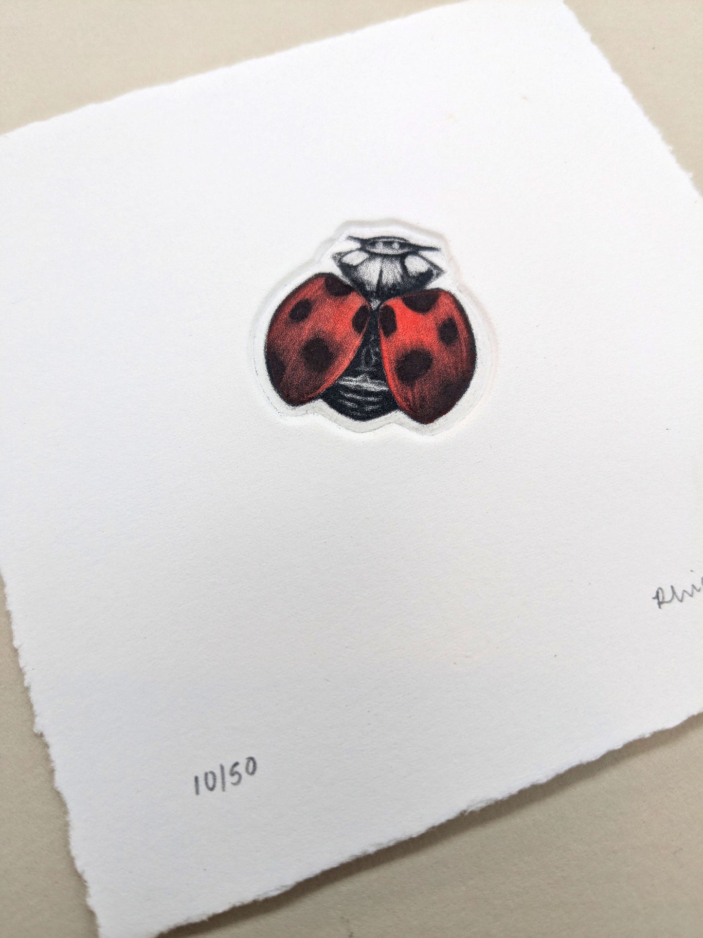 The Loveliness - Original Hand-Finished Mezzotint and Debossing