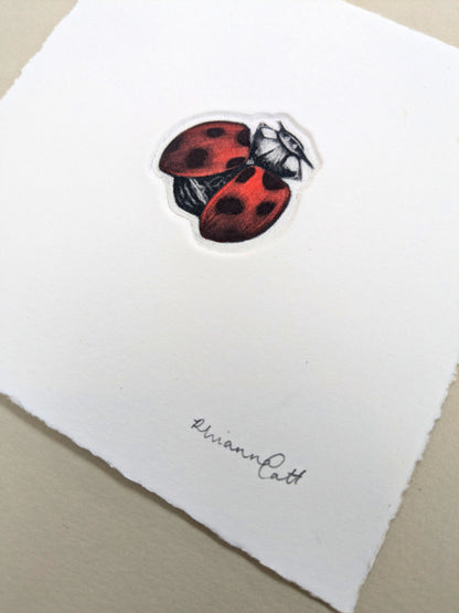 The Loveliness - Original Hand-Finished Mezzotint and Debossing