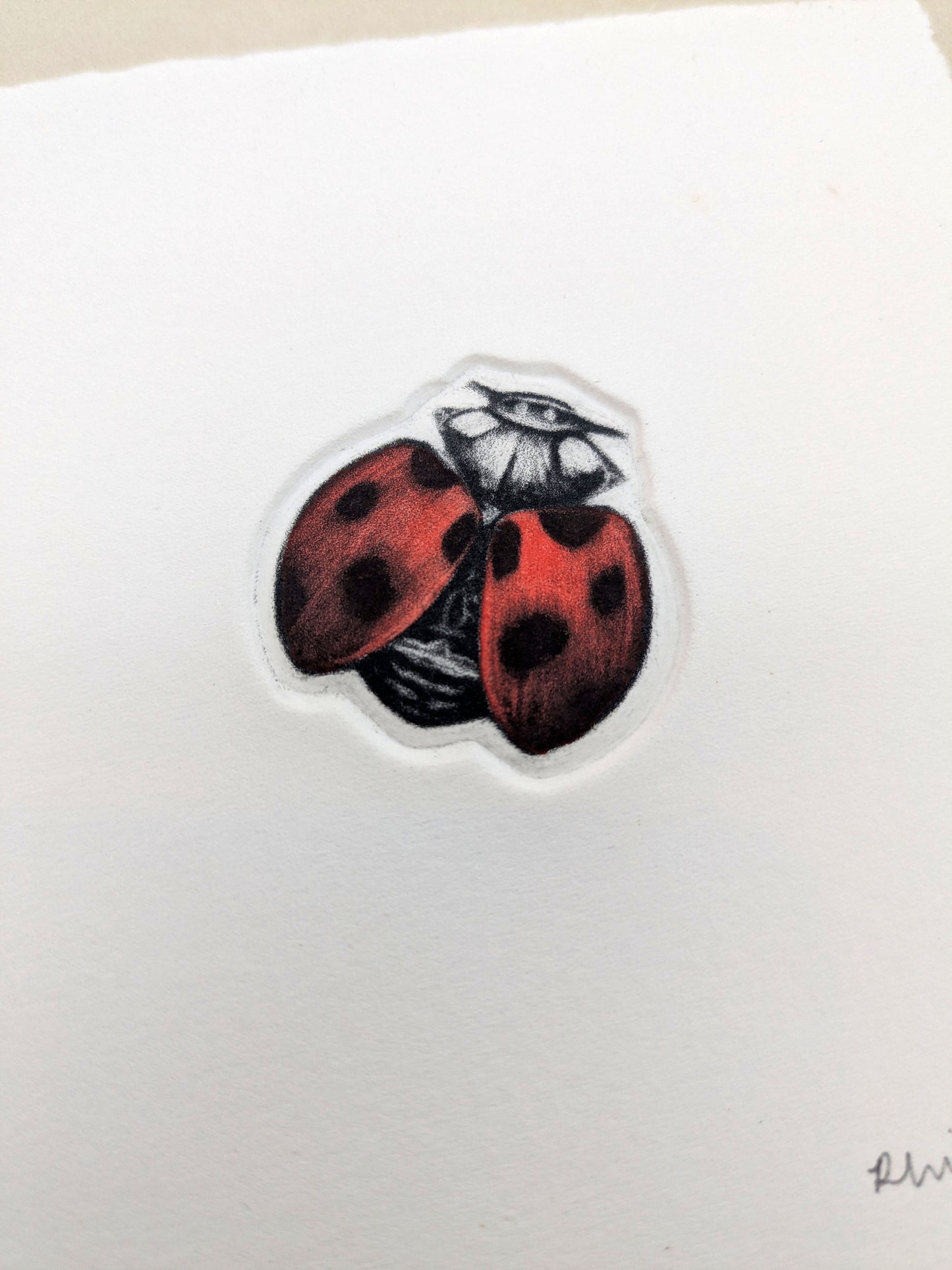 The Loveliness - Original Hand-Finished Mezzotint and Debossing