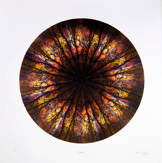 Dawn - Limited Edition Screenprint