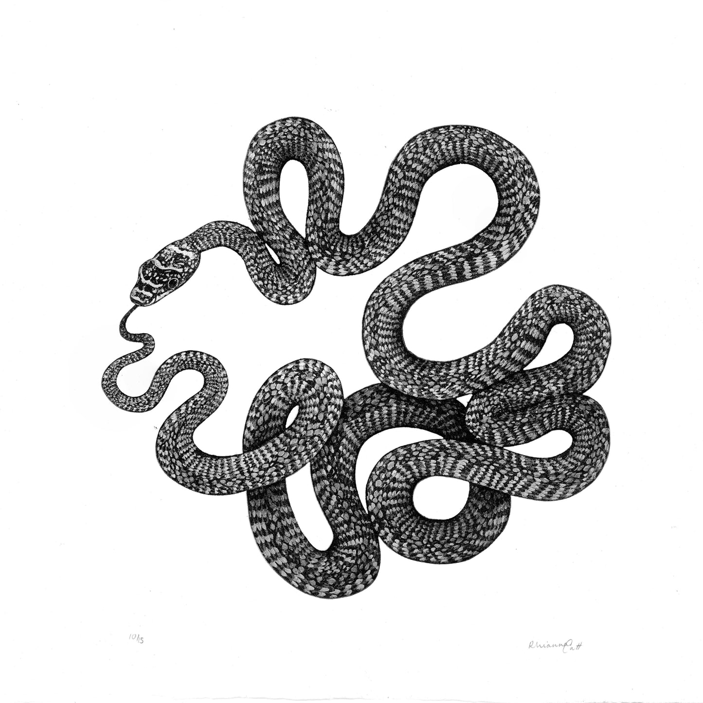 The Taste of What Was - Original Etching and Embossing