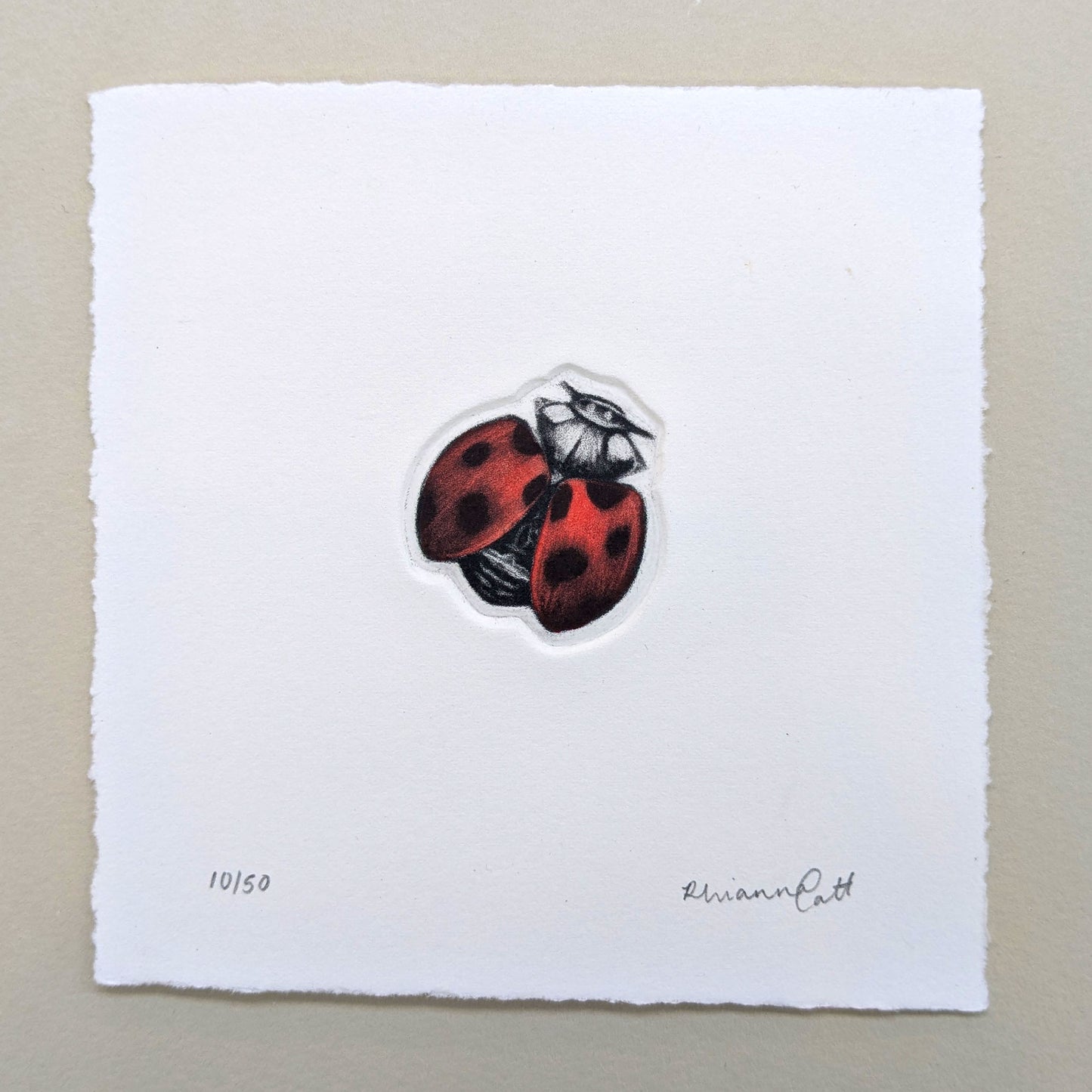 The Loveliness - Original Hand-Finished Mezzotint and Debossing